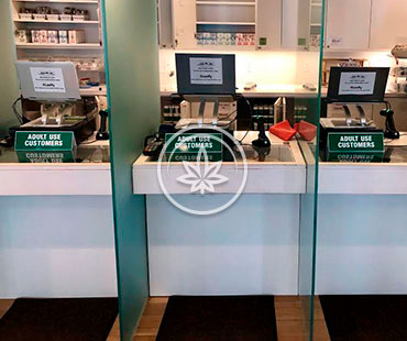 MARIJUANA COUNTER SHOWCASE