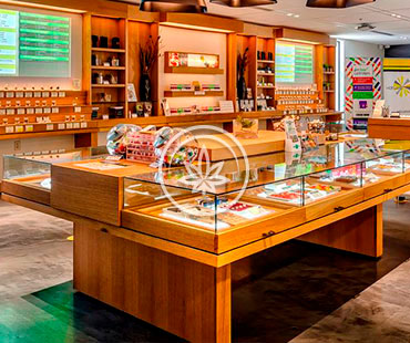 MARIJUANA COUNTER TOP SHOWCASE