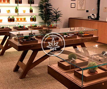 MARIJUANA PEDESTAL SHOWCASE