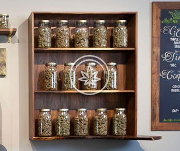 MARIJUANA WALL MOUNTED SHOWCASE